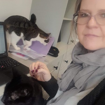 Office chaos, papers and cats on the desk desk to laptop